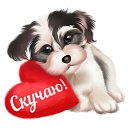 ���� �������, ��������� - ��������� 13 ������� 2016 � ������ �������� ��������