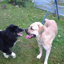 ���� ������, �����-���������, 63 ���� - ��������� 27 ������ 2015 � ������ ���� ����������