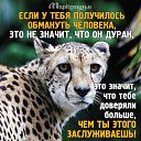 ���� ������, ����� - ��������� 26 ������ 2016 � ������ ������ ��������