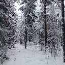  ,  , 49  -  13  2016    