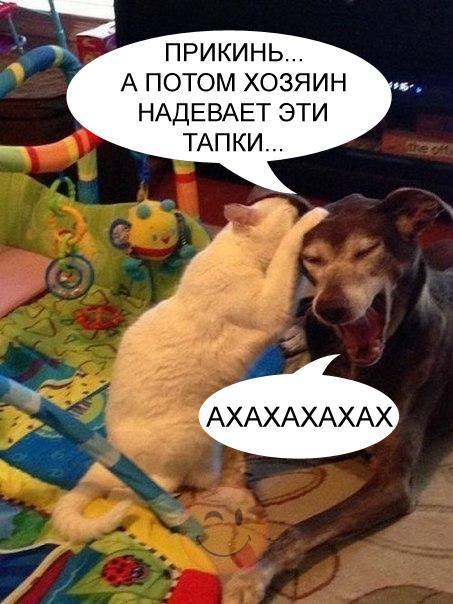 Александр - 24 января 2016 в 20:42