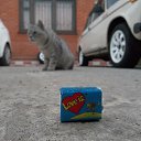 ���� ����� (=^.^=)_____?, �������� - ��������� 22 ������ 2015 � ������ ���� ����������