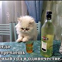 ���� �����, ��������������� - ��������� 26 ������� 2015 � ������ ������ ��������