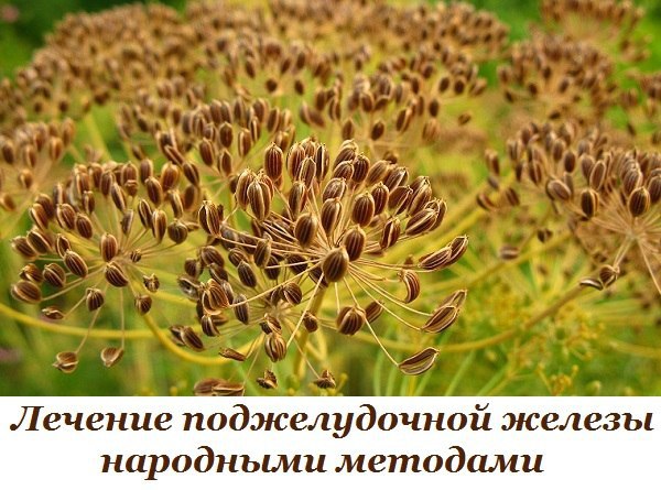 Лечение поджелудочной железы народными методами. То, чего не расскажет ни один врач! Поджелудочная ...