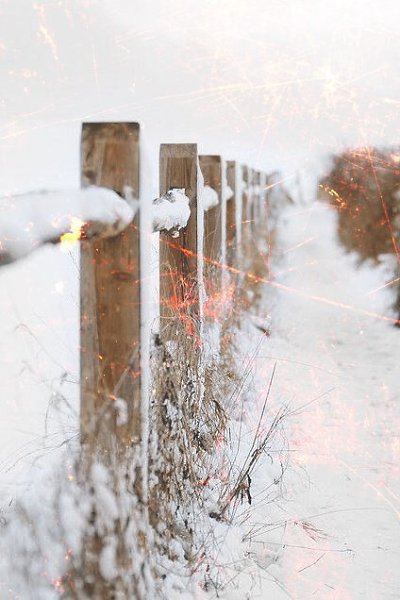 -     ,     .    - 3