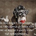 ���� �����, �����-���������, 51 ��� - ��������� 25 ������� 2015