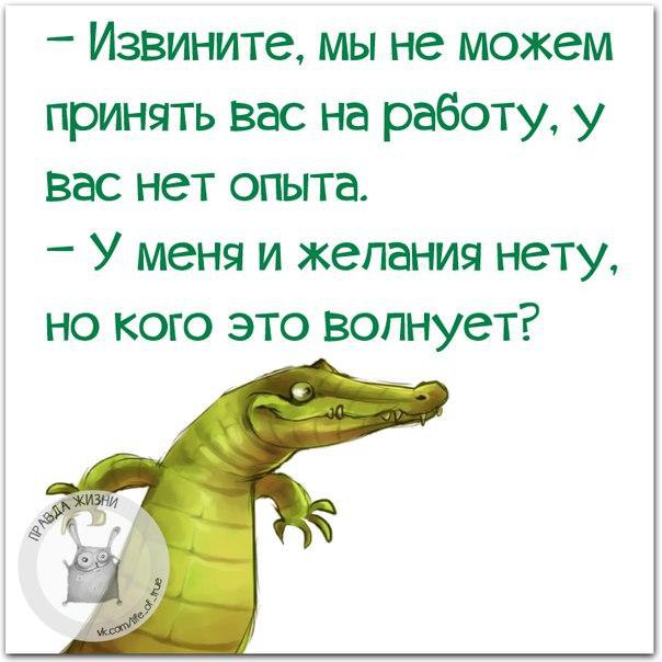   - 28  2016  15:43