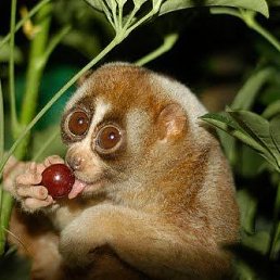 ���� Unmoralish, ��������� - ��������� 1 ����� 2016