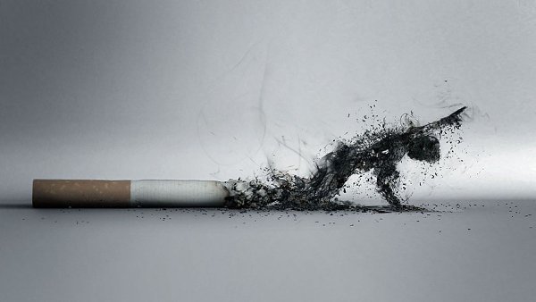 Курение может быть причиной боли в шее.Группа ученых из университета Эмори нашла еще один повод, ...