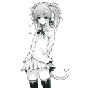  Lineko, , 24  -  8  2016   /  