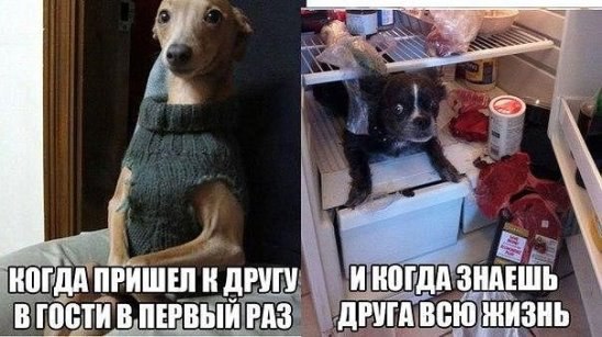 ***Victoria Viktorovna*** - 20  2016  13:37