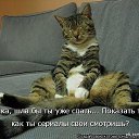 ���� ������, ��������, 72 ���� - ��������� 8 ������ 2015 � ������ ���� ����������