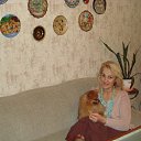 ���� ���, ����������� - ��������� 1 ������� 2016 � ������ ���� ����������