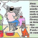  ,  , 71  -  3  2015    -     .