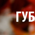  ,  -  25  2015   