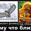  , , 62  -  21  2016    