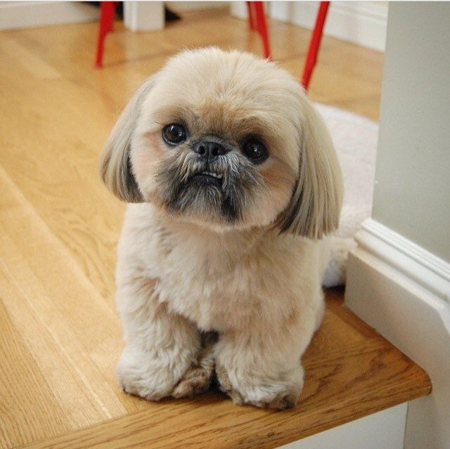 ������ ������ - 30 �������� 2015 � 15:02