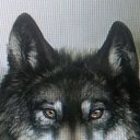 ���� �������, ������ - ��������� 8 ������ 2015 � ������ ���� ����������