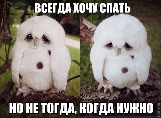   | , ,  - 5  2015  15:02