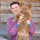  , -, 53  -  19  2015    