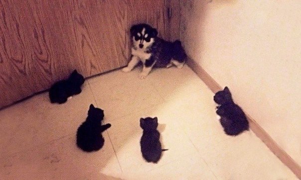 ,   !