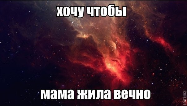   - 17  2015  11:31
