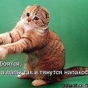 ���� �����, ������������, 75 ��� - ��������� 20 ������ 2016 � ������ ������ ��������