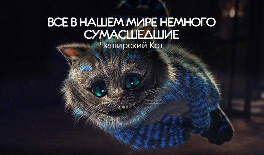   |  |  - 16  2016  15:25