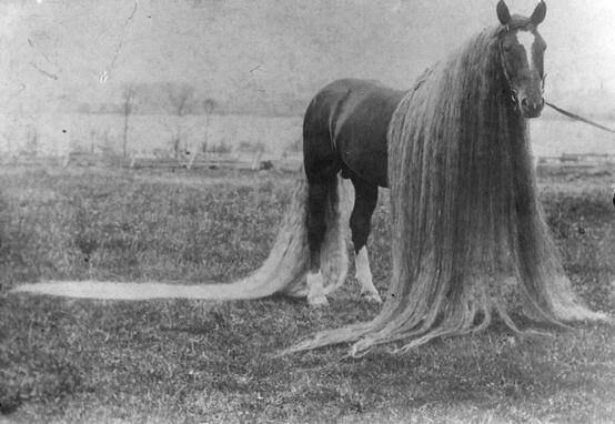    , 1880-.
