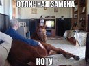 ���� Aaa, ����������, 44 ���� - ��������� 15 ������� 2016 � ������ ���� ����������