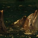  Valentina,  -  4  2015   