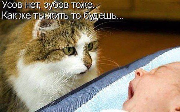 ����� ������� ������� - 28 ������� 2015 � 00:01