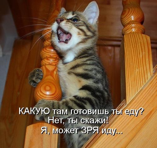 ��� ���� � ����� �� �� - 26 �������� 2015 � 12:01