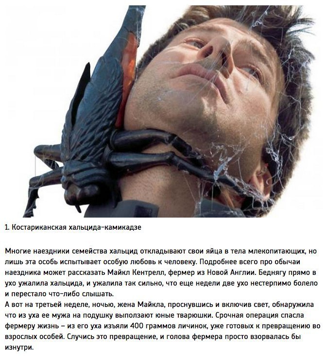 10 ,    .
