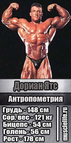       . - 4