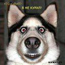 ���� ������, ������ ��������, 49 ��� - ��������� 26 �������� 2015 � ������ ���������