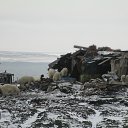 ������ �� ������� ���� ����������