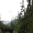 ���� �����, ��������, 53 ���� - ��������� 20 ������� 2015 � ������ ���� ���� ������