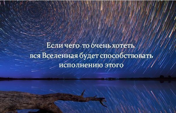    - 2  2016  11:49