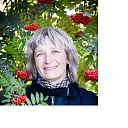 ���� ����, ����, 61 ��� - ��������� 30 �������� 2015 � ������ ���� ����������