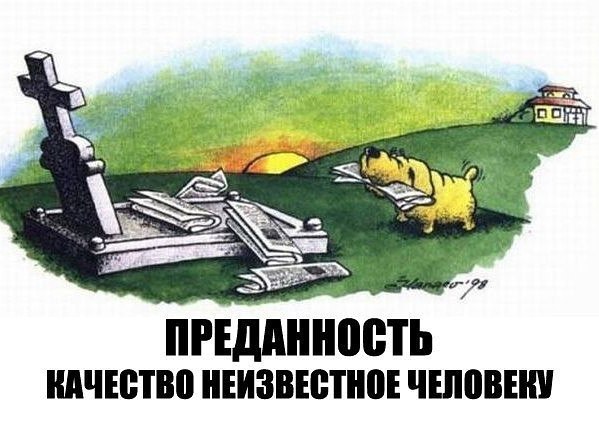 ☆ ☆ - 25  2016  16:24