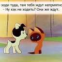 ���� �����, ����, 44 ���� - ��������� 11 ������ 2015 � ������ ������ ��������