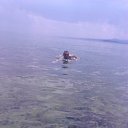 ���� Armen, �������� - ��������� 2 ������ 2016 � ������ ���� ����������