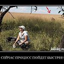 ���� ������, ��������������, 54 ���� - ��������� 15 ������� 2015 � ������ �������
