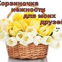  ,   -  3  2016    