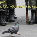  , - -  30  2016   Ż