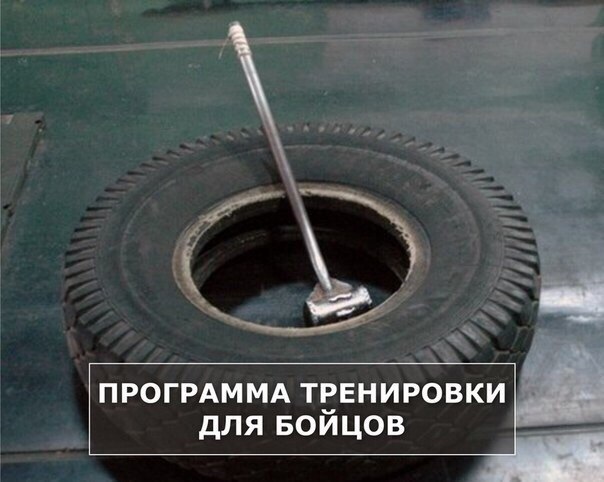 ВАРИАНТ ПРОГРАММЫ ТРЕНИРОВКИ для БОЙЦОВ. 1. Работа с собственным весом: подтягивание на перекладине ...