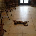 ���� �������, �����-���������, 59 ��� - ��������� 26 ������� 2016 � ������ ����