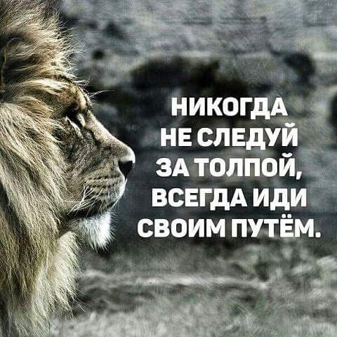   - 14  2015  00:28