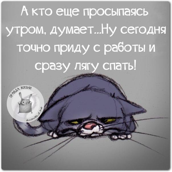   - 2  2016  23:14